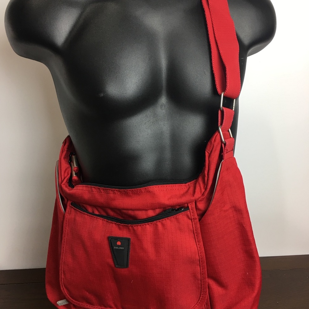 Delsey computer bag